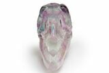Colorful, Carved, Banded Fluorite Dinosaur Skull #218477-2